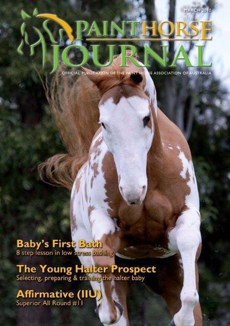 PaintHorseJournal-2010-March:Layout 1 - Paint Horse Association ...