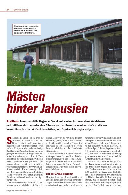 MÃ¤sten hinter Jalousien - PAL-Anlagenbau GmbH