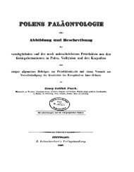 Polens Palaontologie oder Abbildung und Beschreibung der ...
