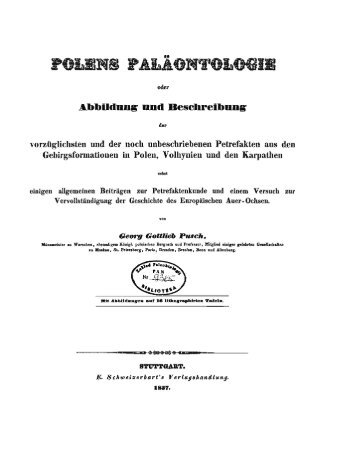 Polens Palaontologie oder Abbildung und Beschreibung der ...