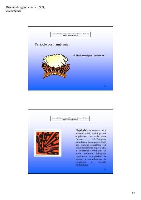 IL RISCHIO CHIMICO La sicurezza dei prodotti, Schede di ...