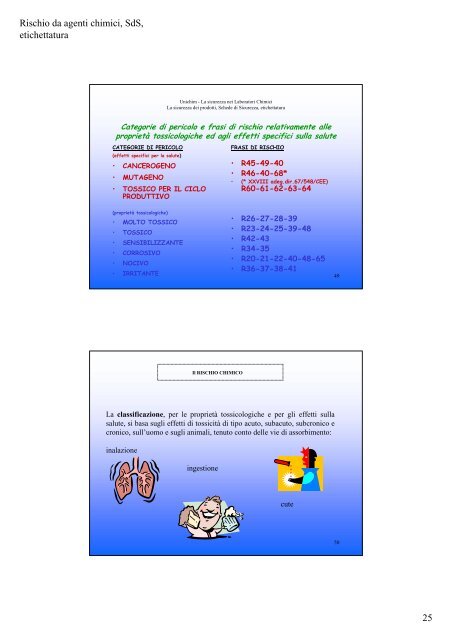 IL RISCHIO CHIMICO La sicurezza dei prodotti, Schede di ...