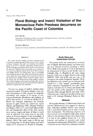 Monoecious Palm Prestoea decurrens on - International Palm Society