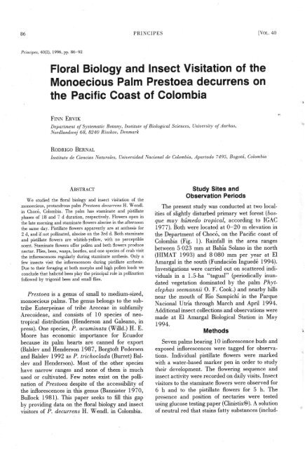 Monoecious Palm Prestoea decurrens on - International Palm Society