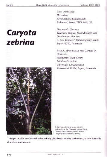 Caryots - International Palm Society