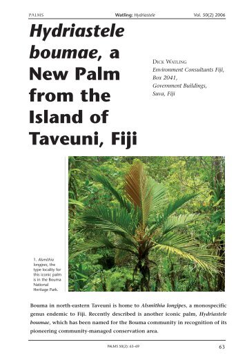 Hydriastele boumae, a New Palm from the Island of Taveuni, Fiji