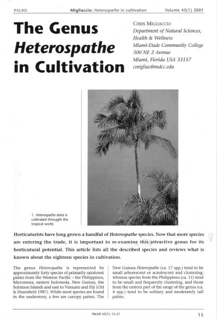 The Genus Heterospsthe in Cultivation - International Palm Society