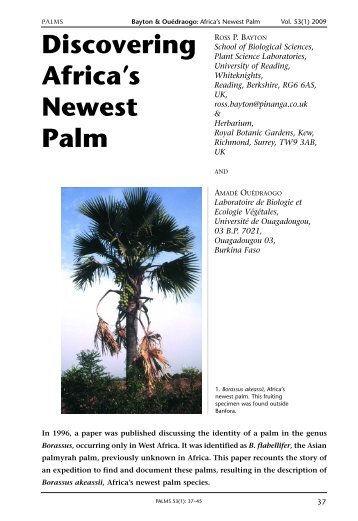 Discovering Africa's Newest Palm - International Palm Society