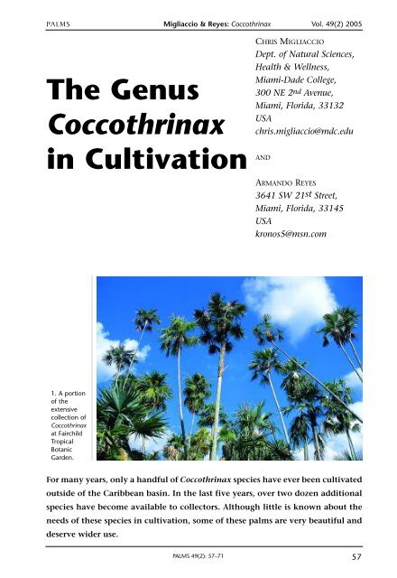 The Genus Coccothrinax in Cultivation - International Palm Society