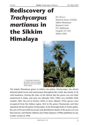 Rediscovery of Trachycarpus martianus in the Sikkim Himalaya