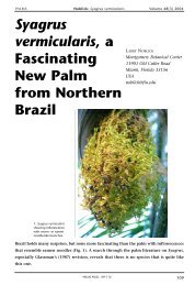 Syagrus vermicularis, a Fascinating New Palm from ... - ResearchGate