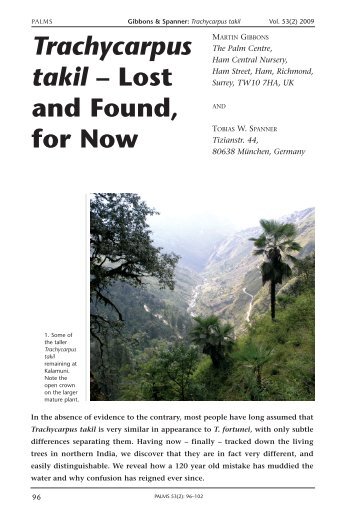 Trachycarpus takil - International Palm Society