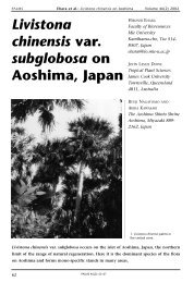 Livistona Chinensis On Aoshima - International Palm Society