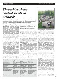 Shropshire sheep control weeds in orchards