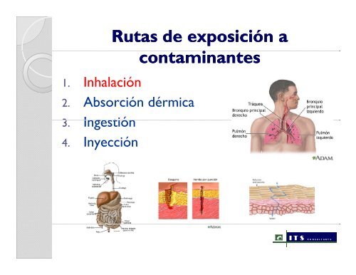 Monitoreo BiolÃ³gico como Herramienta en la ... - Panama Canal