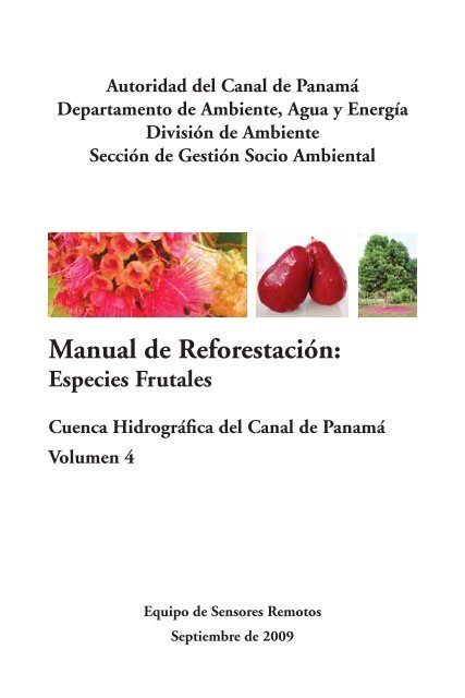 Manual de ReforestaciÃ³n: - CICH