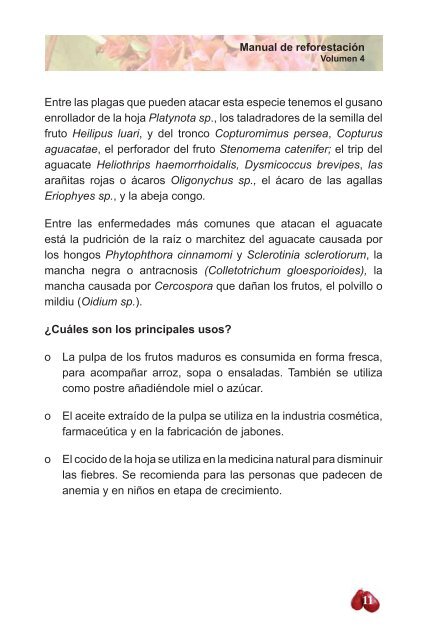 Manual de ReforestaciÃ³n: - CICH