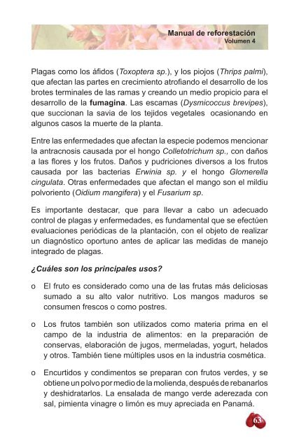 Manual de ReforestaciÃ³n: - CICH