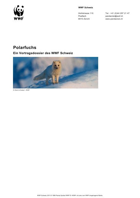 Polarfuchs Wwf Panda Club