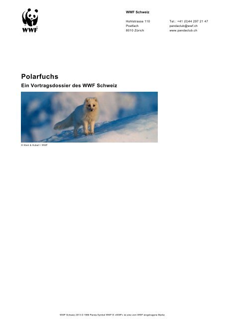 Polarfuchs - WWF Panda Club