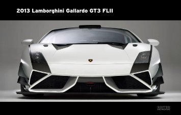 2013_Basic Information Gallardo GT3 FL2.pdf