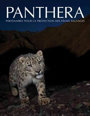 partenaires pour la protection des fÃ©lins sauvages - Panthera
