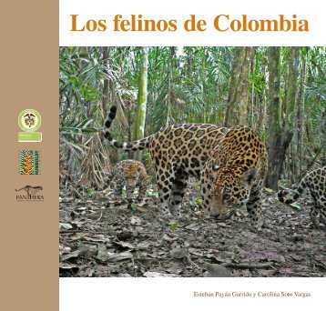 Los felinos de Colombia - Panthera