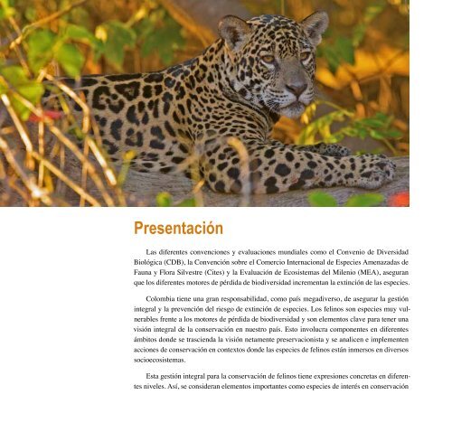 Los felinos de Colombia - Panthera