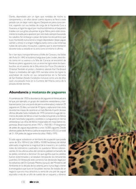 EL YAGUAR - Panthera