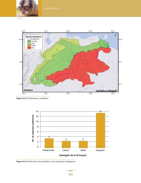 BIODIVERSIDAD DE LA CUENCA DEL ORINOCO - Panthera