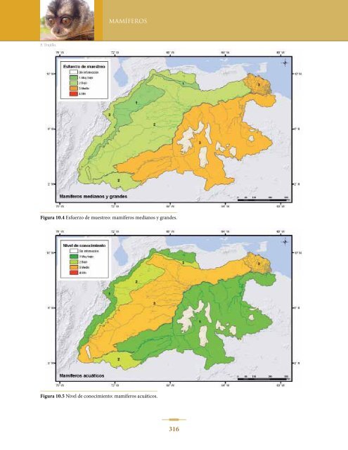 BIODIVERSIDAD DE LA CUENCA DEL ORINOCO - Panthera