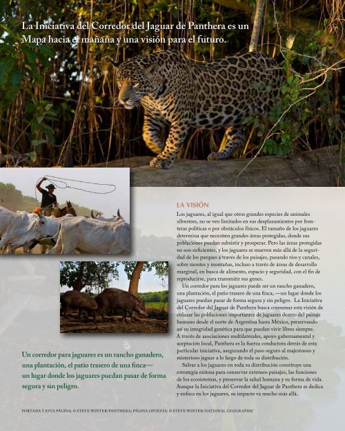 La InIcIatIva deL corredor deL Jaguar - Panthera