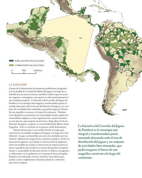 La InIcIatIva deL corredor deL Jaguar - Panthera