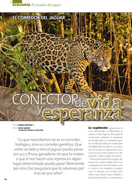 EL CORREDOR DEL JAGUAR - Panthera