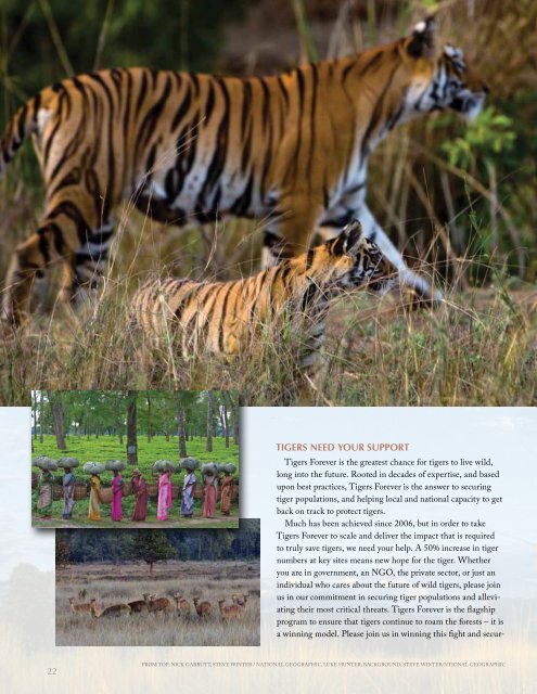 TIGERS FOREVER 2006-2011 | ENSURING TIGERS ... - Panthera