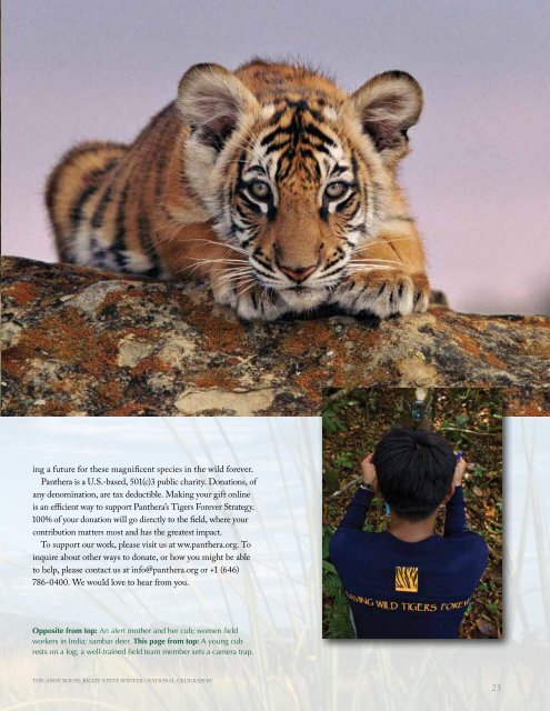 TIGERS FOREVER 2006-2011 | ENSURING TIGERS ... - Panthera
