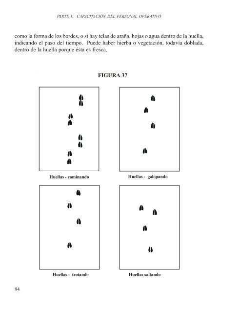 MANUAL DE CAPACITACIÃN PARA LA ... - Panthera