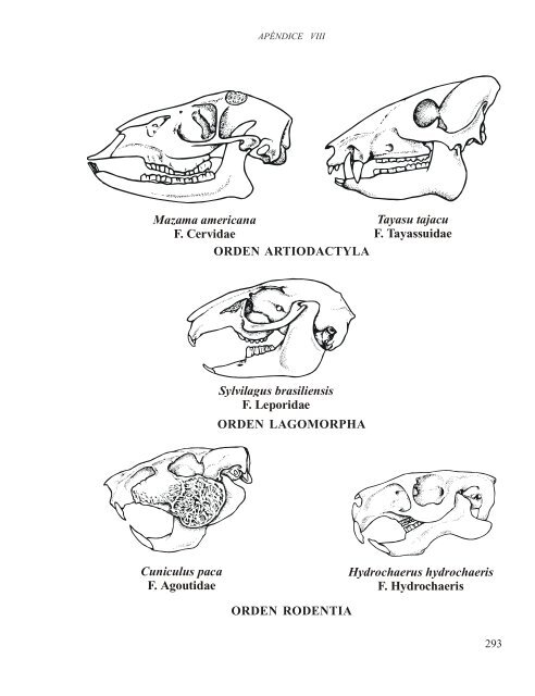 MANUAL DE CAPACITACIÃN PARA LA ... - Panthera