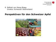 Perspektiven fÃ¼r den Schweizer Apfel (Georg Bregy) - Papst.ch