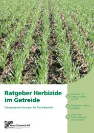 Ratgeber Herbizide im Getreide - Papst.ch