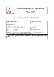 2007 - PrestaÃ§Ã£o de Contas Anual - Prefeitura Municipal de Paracatu