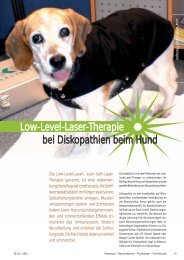 Low-Level-Laser-Therapie bei Diskopathien beim Hund - Paracelsus