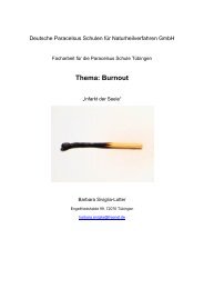 Thema: Burnout - Paracelsus