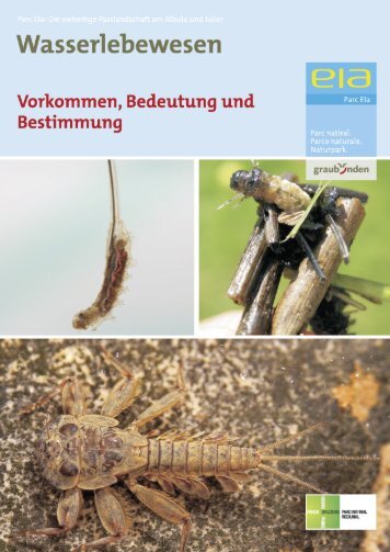 Infomappe Wasserlebewesen (PDF) - Parc Ela