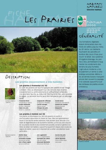 Les prairies - Parc naturel rÃ©gional des Vosges du Nord