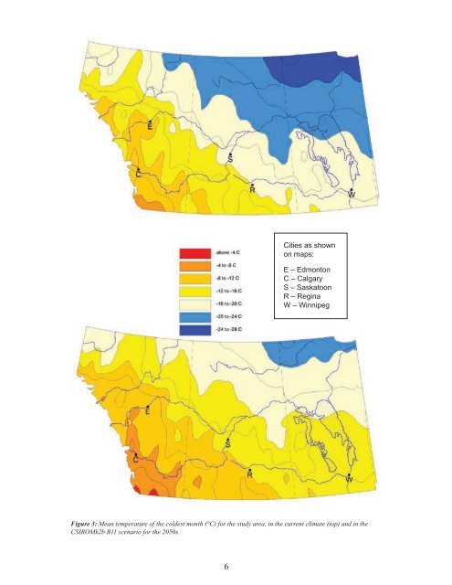 Exotic Tree Species as an Adaptation Option to Climate Change in ...