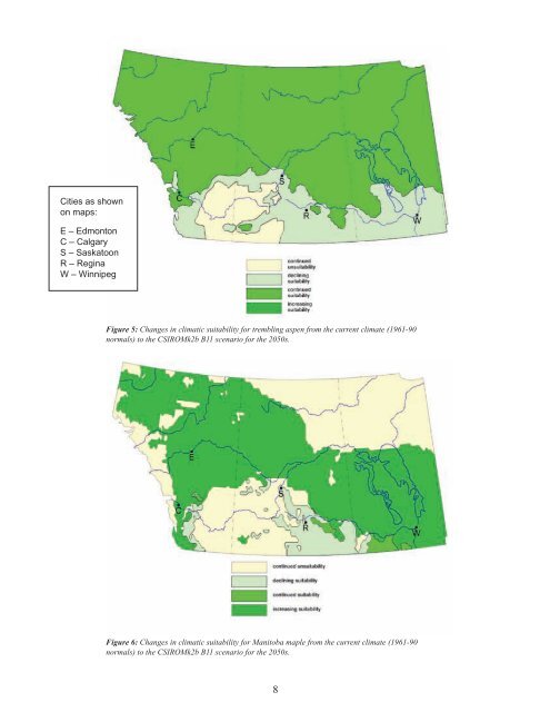 Exotic Tree Species as an Adaptation Option to Climate Change in ...