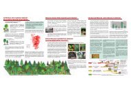 La forÃªt morvandelle et sa Charte forestiÃ¨re en 6 pages (PDF - 765 Ko)