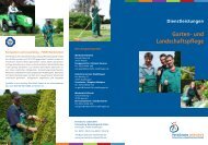Flyer Garten- und Landschaftspflege der PLSW - ParitÃ¤tische ...