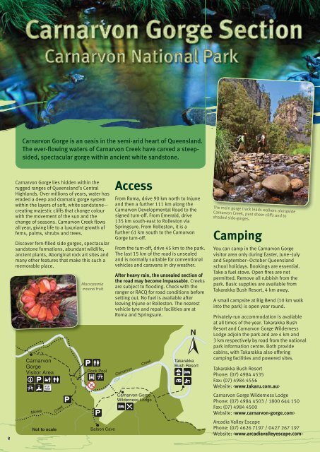 Central Queensland Sandstone Belt parks visitor guide (PDF, 4.0M)